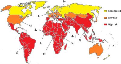 Toxicological and Medical Aspects of Aspergillus-Derived Mycotoxins Entering the Feed and Food Chain